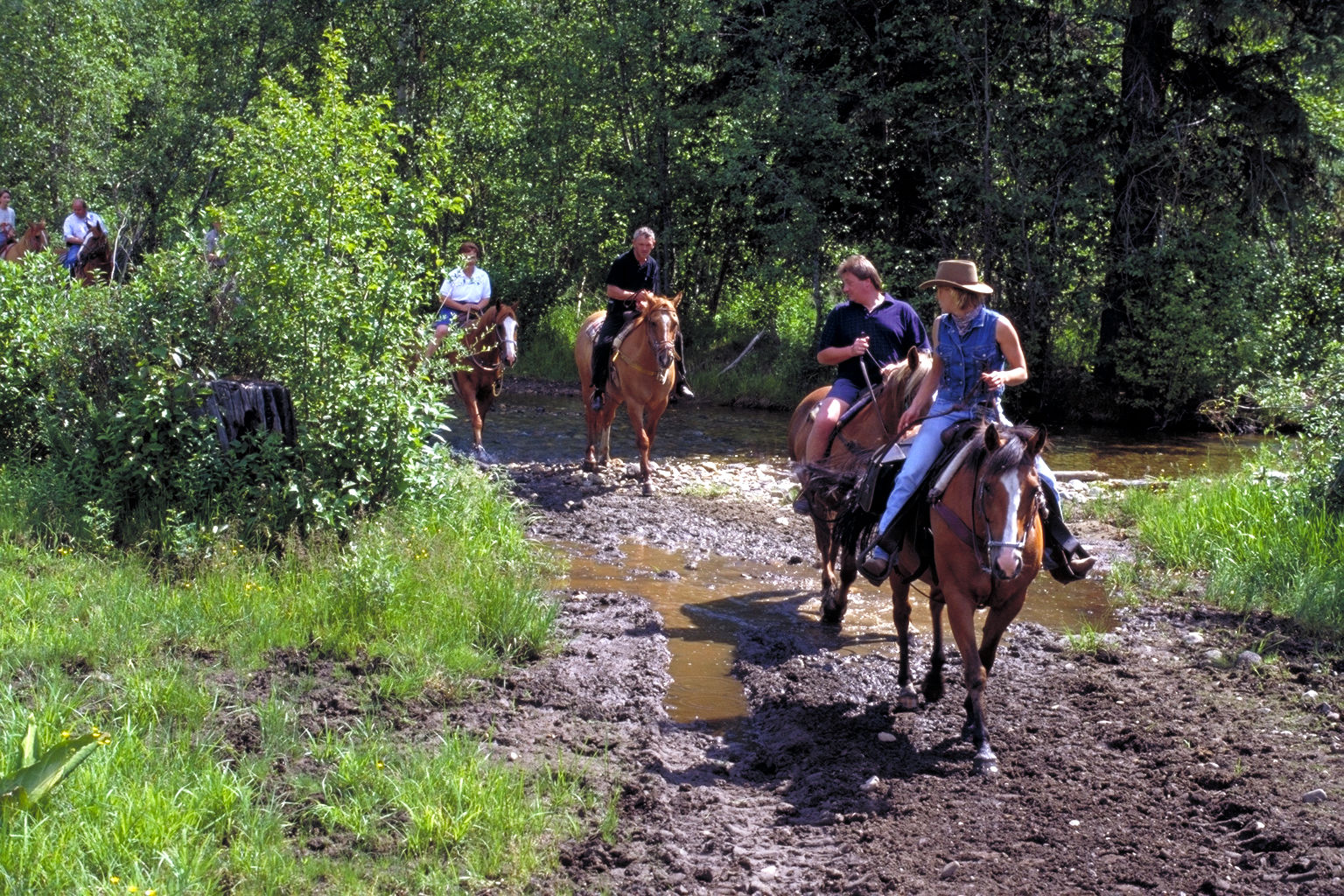 Отель Wells Gray Guest Ranch Клируотер Экстерьер фото